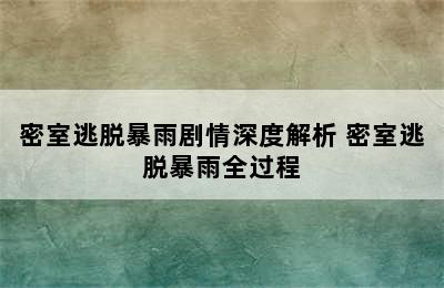 密室逃脱暴雨剧情深度解析 密室逃脱暴雨全过程